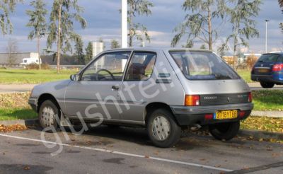 Купить глушитель, катализатор, пламегаситель Peugeot 205 в Москве